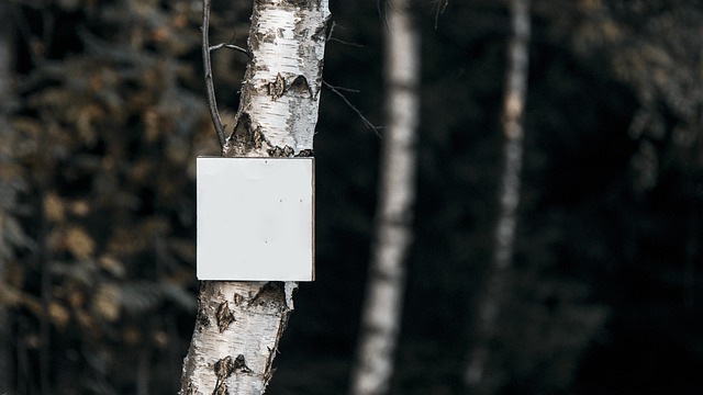 Fra væg til whiteboard: Sådan kan masonitpladen forvandle dit kontor